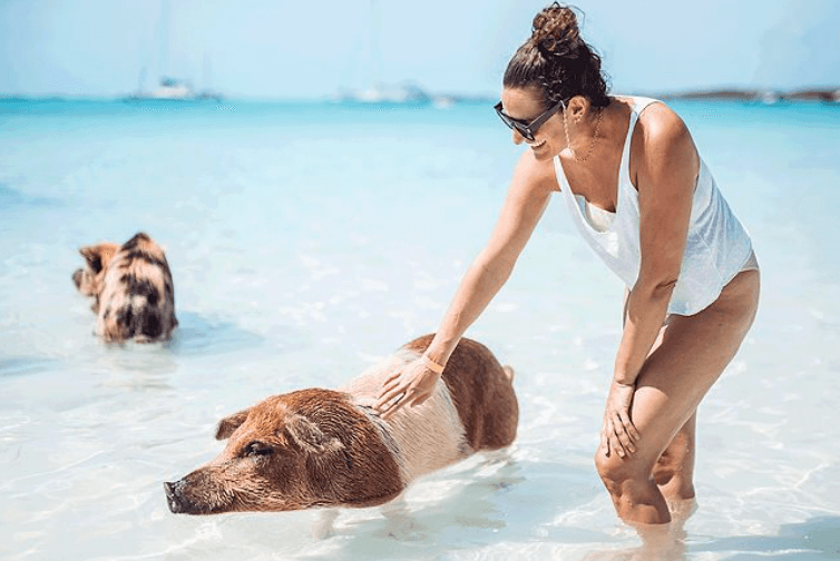 bahamas - best cruises in 2026
